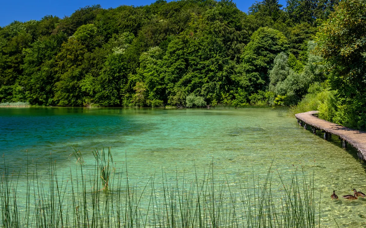 Türkisfarbenes Wasser und Travertin-Kaskaden in Plitvice, Kroatien